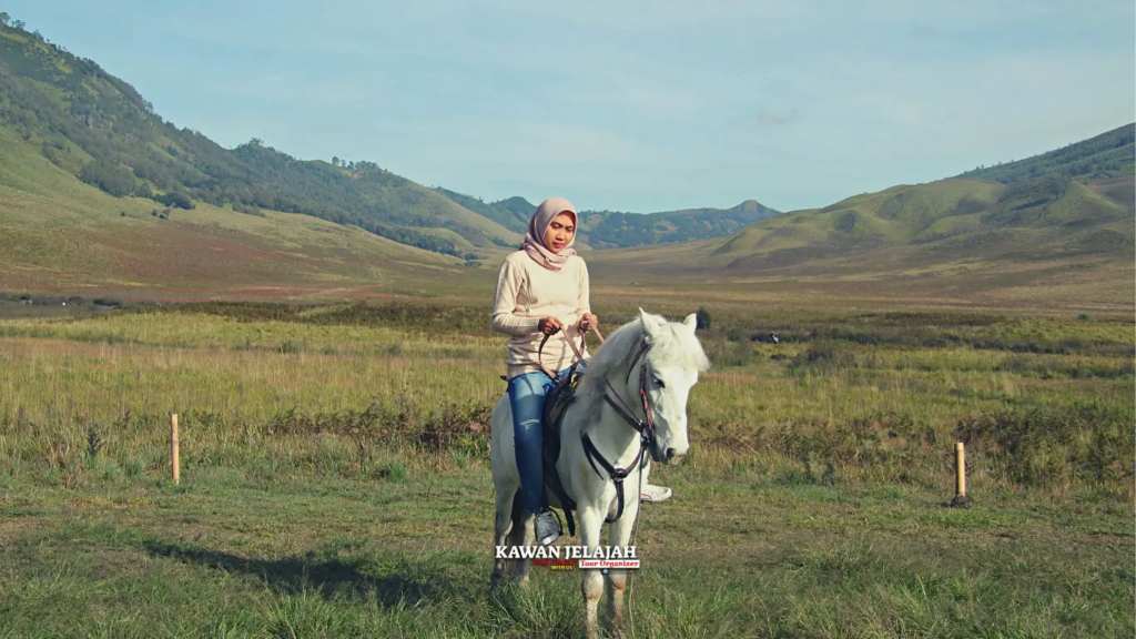 Berkuda di Savana Gunung - Dokumentasi Foto Kawanjelajahtour