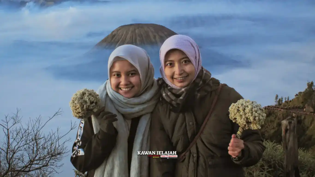 Kerajinan Bunga Edelweiss Khas Gunung Bromo - Dokumentasi Foto Kawanjelajahtour