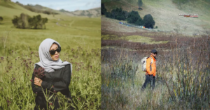 Destinasi Savana Teletubbies | Kawanjelajahtour