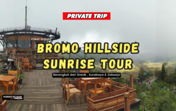 Private Trip Bromo Hillside - Kawanjelajahtour